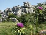 Karst in El Torcal de Antequera, Spanien.