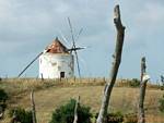 Alte Windmühle, Vejer de la Frontera, Spanien.