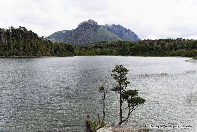 Ein weiterer Blick auf den Parque Nacional Llao Llao, Bariloche - Argentinien