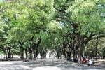 Plaza San Martin, Buenos Aires, Argentinien.