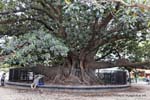 Plaza San Martin von Tours, Buenos Aires, Argentinien.