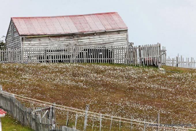 Flowery Feld, Estancia Harberton, Ushuaia - Argentinien