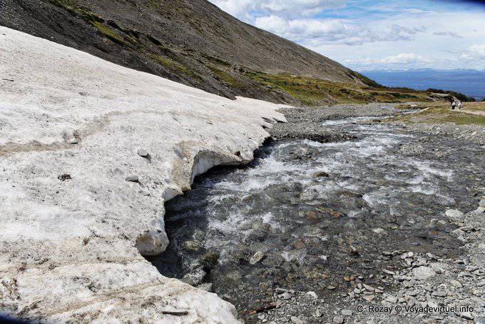 Passage unter Glas zwischen Bosque und Moräne Martial Glacier, Ushuaia - Argentinien