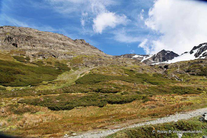 Sommer-Ansicht zwischen Bosque und Moräne Martial Glacier, Ushuaia - Argentinien