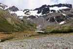 Zwischen Lenga zwischen Bosque und Moräne Martial Glacier, Ushuaia, Argentinien.