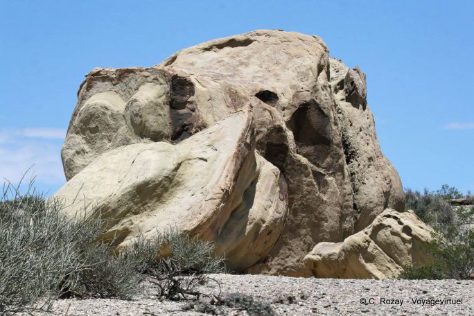 Seltsame Form, Ischigualasto, Valle de la Luna - Argentinien