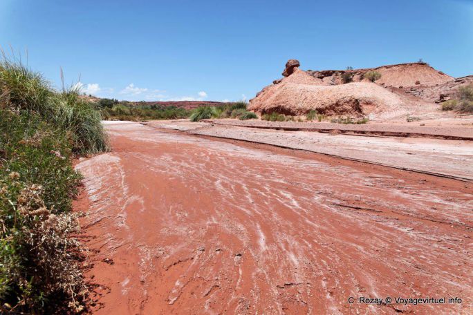 Salz im Flussbett, Ischigualasto, Valle de la Luna - Argentinien