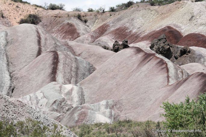 Loberias, Ischigualasto, Valle de la Luna - Argentinien