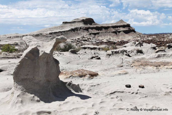 Versteinertes Holz Ischigualasto, Valle de la Luna - Argentinien