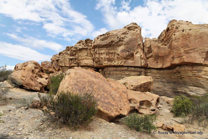 El Gusano, Ischigualasto, Valle de la Luna - Argentinien