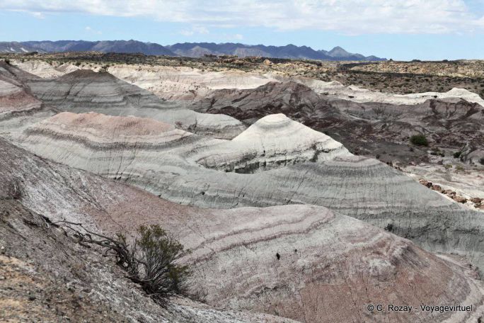 Valle Pintado, Ischigualasto, Valle de la Luna - Argentinien
