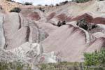 Loberias, Ischigualasto, Valle de la Luna, Argentinien.