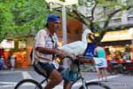 Radfahren Ente, Peatonal Sarmiento, Mendoza, Argentinien.
