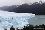 Sprache Süden Eintauchen in den Lago Argentino, Gletscher Perito Moreno, El Calafate, Argentinien.