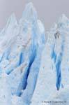 Farben gefrieren Gletscher Perito Moreno, El Calafate, Argentinien.