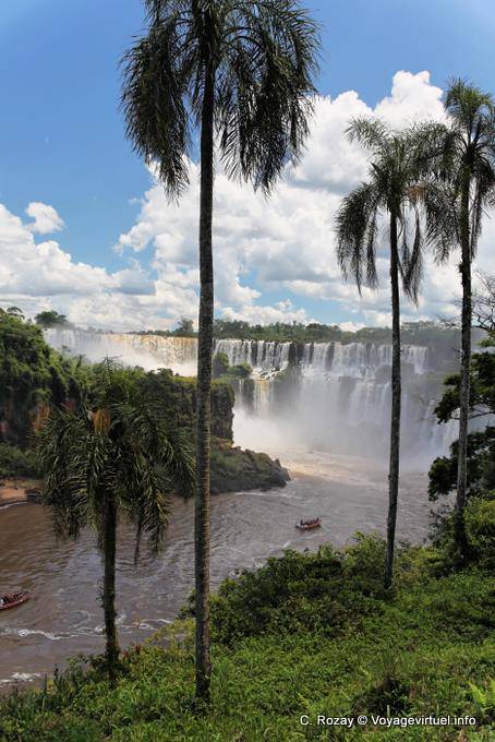 Palmen auf der unteren Schaltung, Puerto Iguazu Cataratas - Argentinien