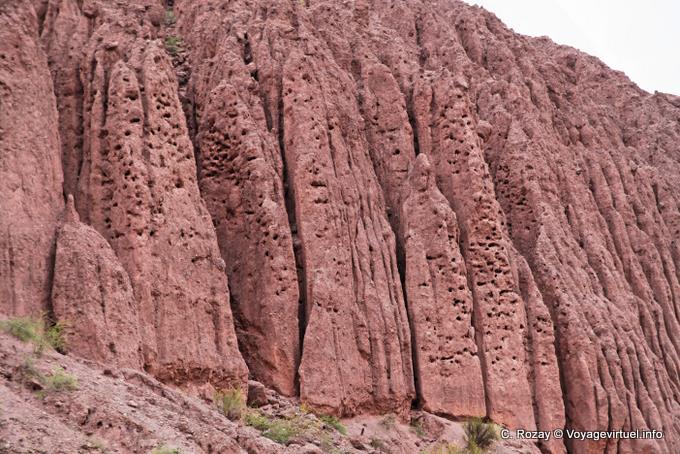 Konzentrieren Sie sich auf Casa de Loros, Quebrada de las Conchas - Argentinien