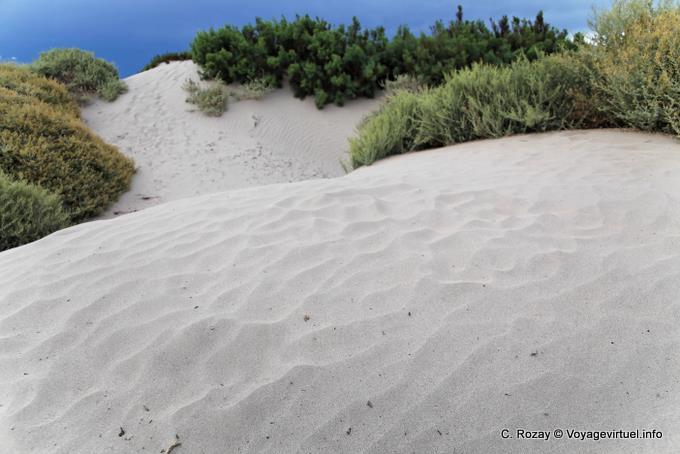 Weißer Sand vor Erreichen Cafayate, Quebrada de las Conchas - Argentinien
