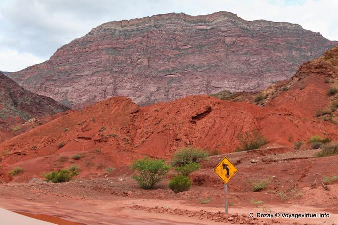 Rote Erde und Zistrose, Quebrada de las Conchas - Argentinien