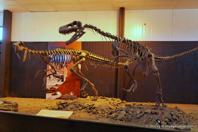 Dinosaurier, Ischigualasto, Ciencias Naturales Museo de - Argentinien