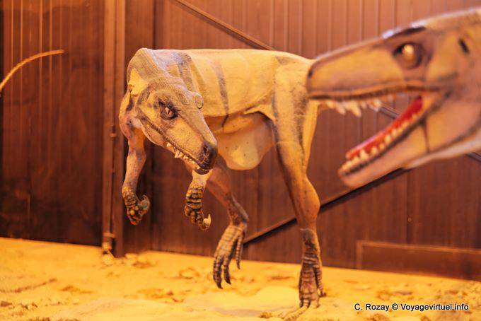 Dinosaur Vervielfältigung Ciencias Naturales Museo, Ischigualasto - Argentinien