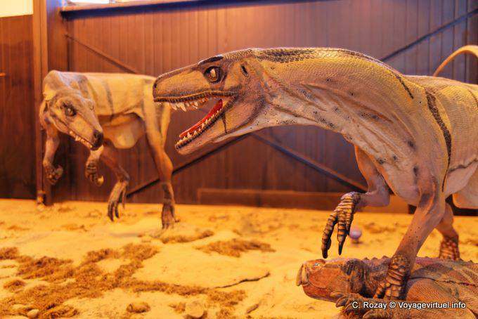 Kampf Dinosaurier, Wissenschaftsmuseum, Ischigualasto - Argentinien