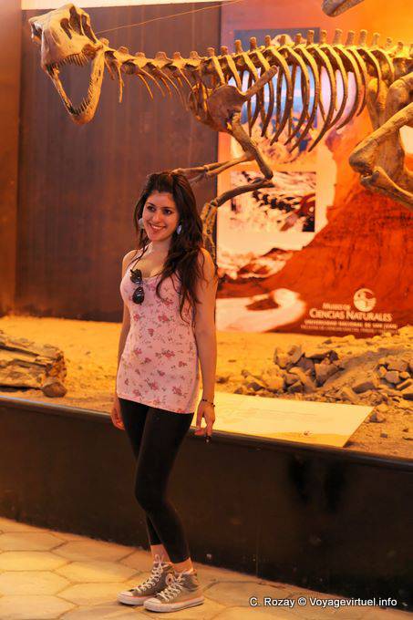 Argentinische Lächeln, Ischigualasto, Naturkundemuseum - Argentinien