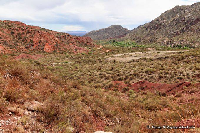 Panoramaaussicht, Los Tambillos, Ruta 40 zwischen Villa Union und Chilecito - Argentinien