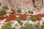 Sturzbach aus Blut, Ruta 40 zwischen Villa Union und Chilecito, Cuesta Miranda, Argentinien.