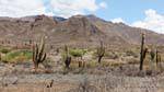 Ruta 40 zwischen Molinos und Seclantas, Argentinien.