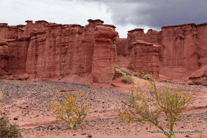 Rote Erde und schwarzen Himmel, Talampaya - Argentinien