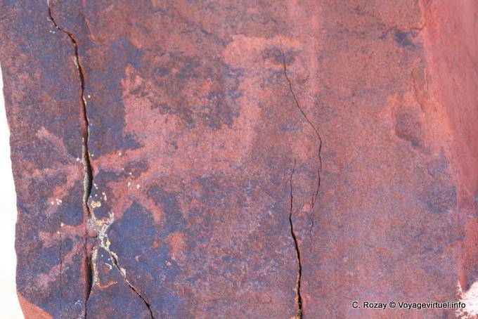 Petroglyph Vogel, Talampaya - Argentinien