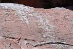 Spirituellen Symbole, Petroglyphen, Talampaya, Argentinien.