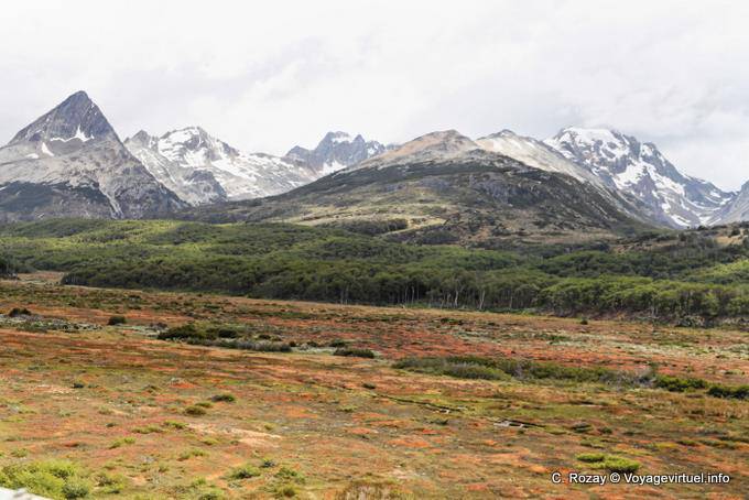 Heide, Wald und Berge, Ushuaia - Argentinien