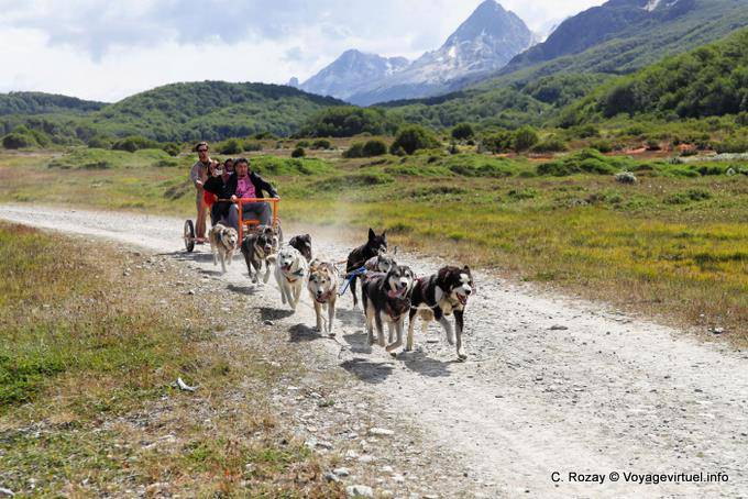 Hunde ziehen einen fahrbaren Schlitten, Ushuaia - Argentinien