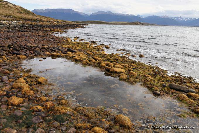 Ein weiterer Blick auf Bahia Brown, Ushuaia - Argentinien