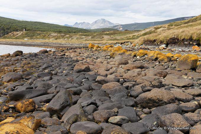 Felsstrand in Bahia Brown, Ushuaia - Argentinien