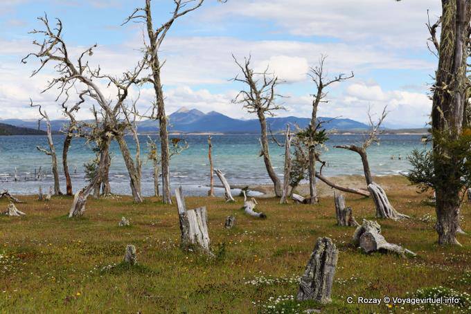 Sehen Sie das Cerro Alvear, Ushuaia Lago Yehuin - Argentinien