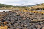 Felsstrand in Bahia Brown, Ushuaia, Argentinien.