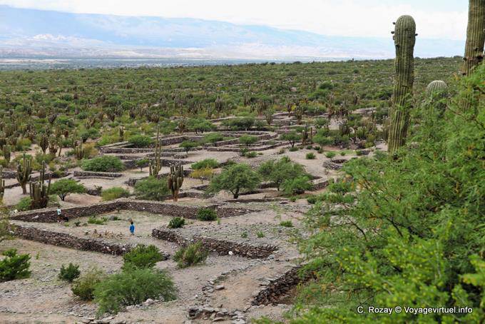 Panorama auf das Tal Yokavil, Quilmes Ruinas - Argentinien