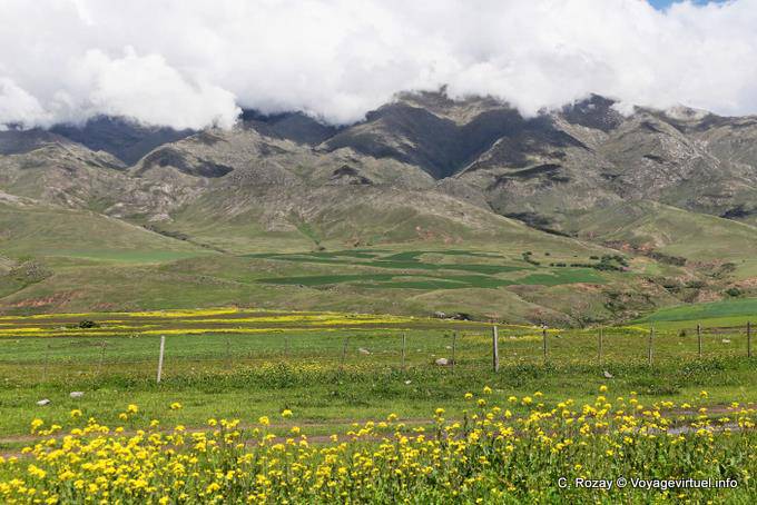 Seit ruta 307 Panorama von Pinar de los Cervios, Tafi del Valle, Ruta 307 - Argentinien