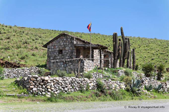 Steinhaus und Kaktus, Tafi del Valle, Ruta 307 - Argentinien