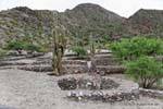 Kaktus Kandelaber und Steinbauten des Berges, Quilmes Ruinas, Argentinien.