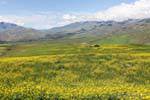 Blick von Pinar de los Cervios, Tafi del Valle, Ruta 307, Argentinien.