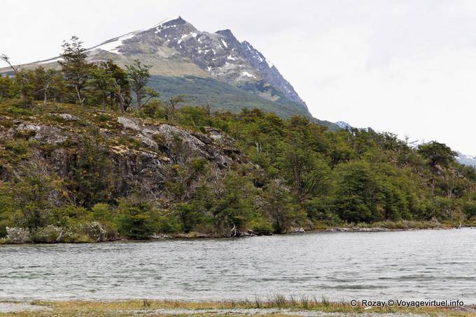 Bestimmten Winkel auf Cerro Condor, Parque Nacional Tierra del Fuego, Ushuaia - Argentinien