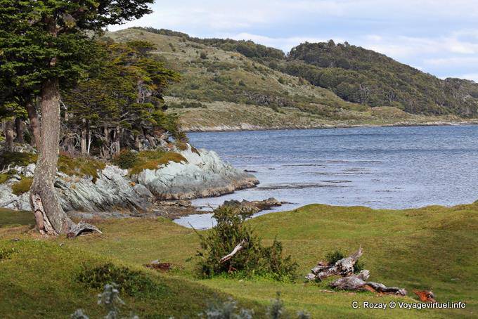 Patagonische Landschaft von der Küste von Bahia Ensenada, Parque Nacional Tierra del Fuego, Ushuaia - Argentinien