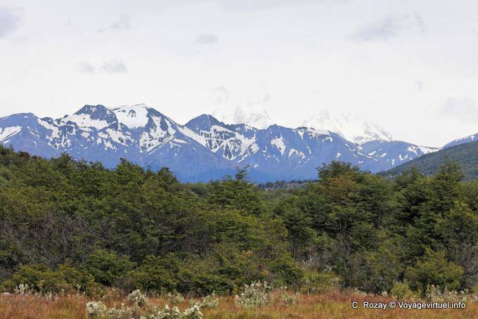 Feuerländer Landschaft, Bahia Lapataia, Parque Nacional Tierra del Fuego, Ushuaia - Argentinien