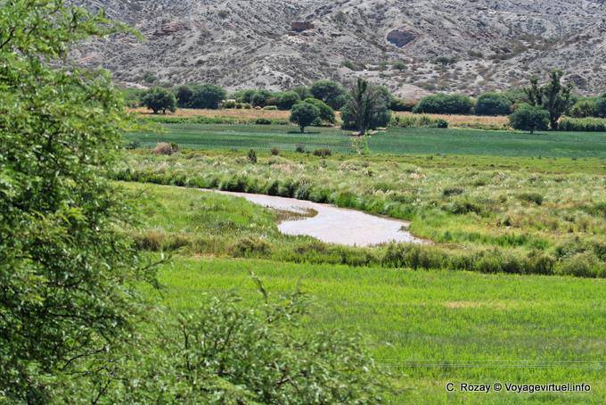 Fruchtbaren Tal des Rio Calchaqui, La Angostura Tal Calchaquies, Ruta 40 - Argentinien