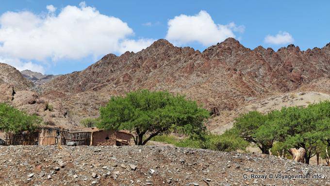 Haus und Bäume in der trockenen Tal Calchaquies, Ruta 40 - Argentinien