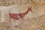 Vordergrund weiblich Guanako prähistorischen, Höhlenmalerei Tehuelche, Walichu, Argentinien.